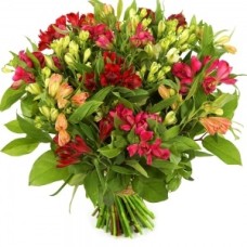 Bouquet Alstroemeria (Bouquet of mixed alstroemerias and various leaf material)
